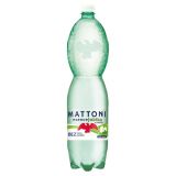 Mattoni 1,5l Esence 